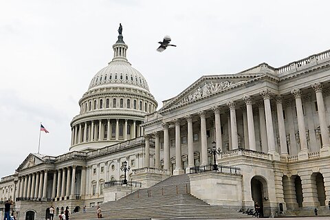 Report: 201,000 Federal Employees Let Go Since January—A Good Start